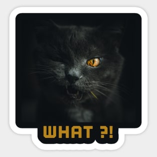 Black cat what ?! Sticker